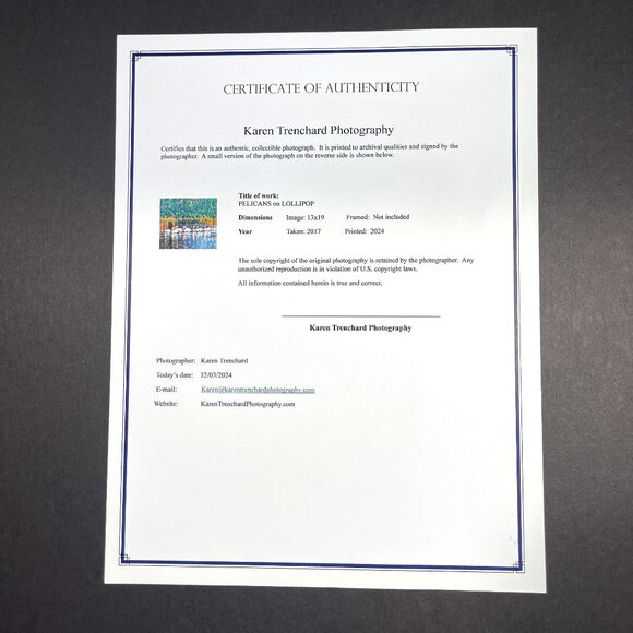 Fine Art PELICANS on LOLLIPOP Original Photography 13x19 Print Signed with COA - Picture 2 of 2